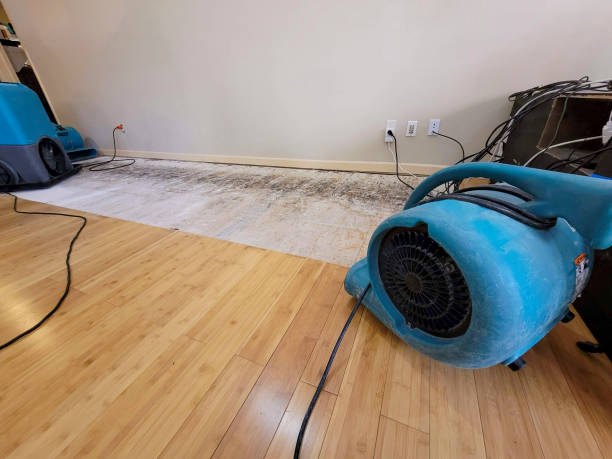 Professional Water Damage Repair technician working in North East, MD